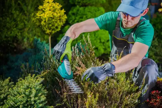 landscaping services Hollister